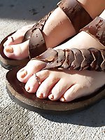 Ample cocoa-flavored delights