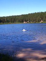 Beautiful women of a certain age show off their skills.